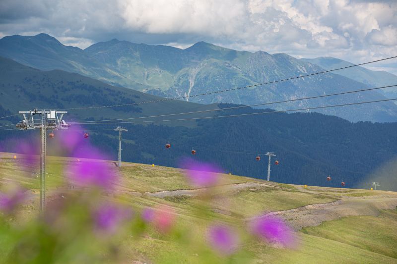 Северное сияние