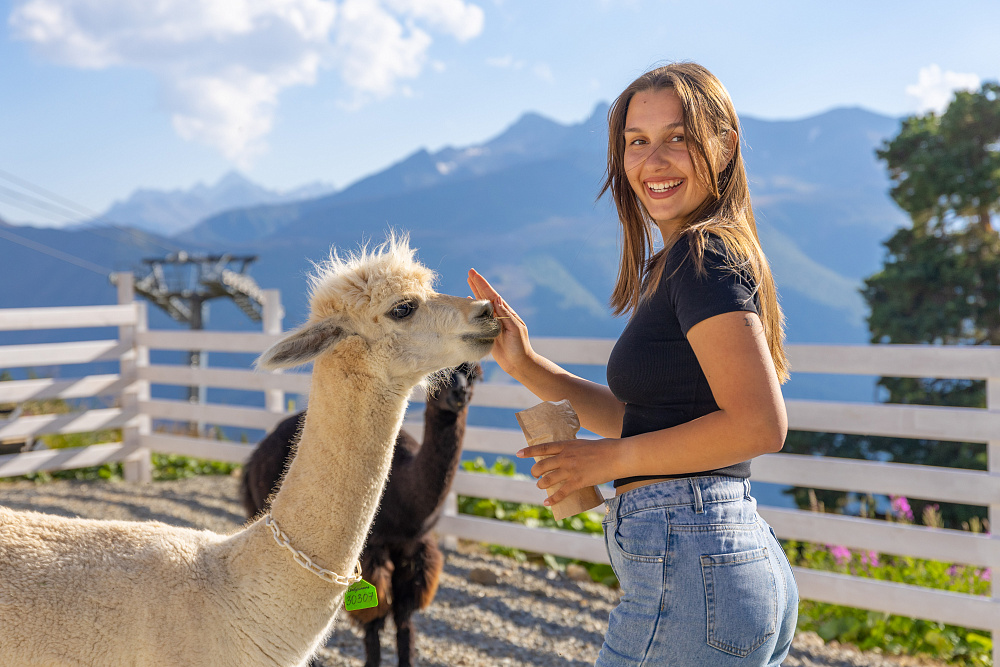 Ферма альпак